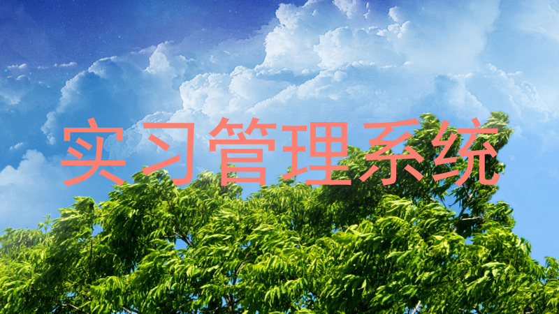 实习管理系统