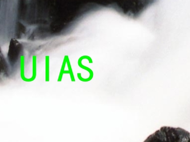 UIAS