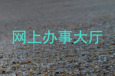 网上办事大厅