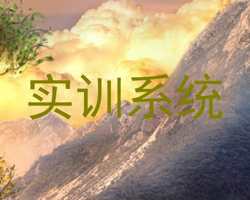实训系统