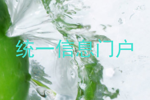 统一信息门户