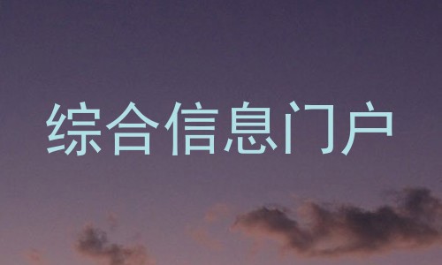 综合信息门户