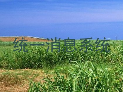 统一消息系统