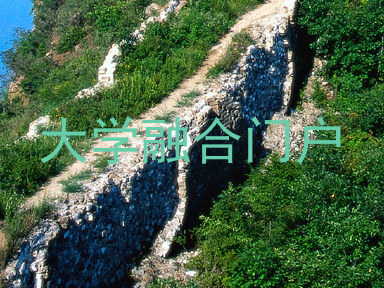 大学融合门户