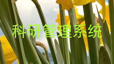 科研管理系统