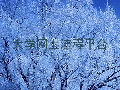 大学网上流程平台