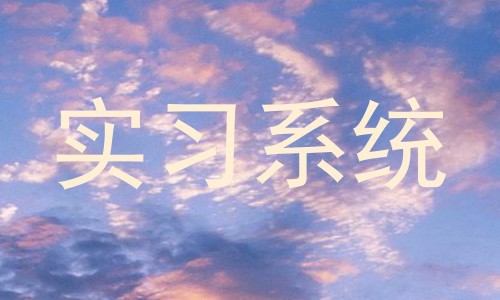 实习系统