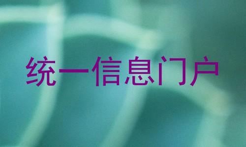 统一信息门户