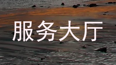 服务大厅