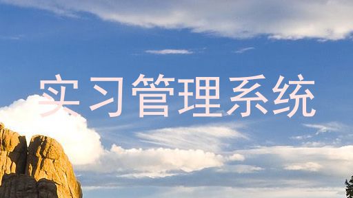 实习管理系统