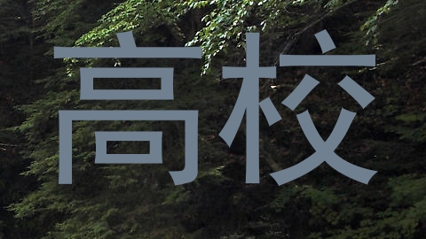 高校