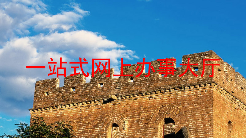 一站式网上办事大厅