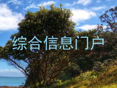 综合信息门户
