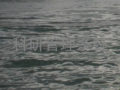 科研管理系统
