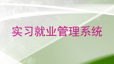 实习就业管理系统