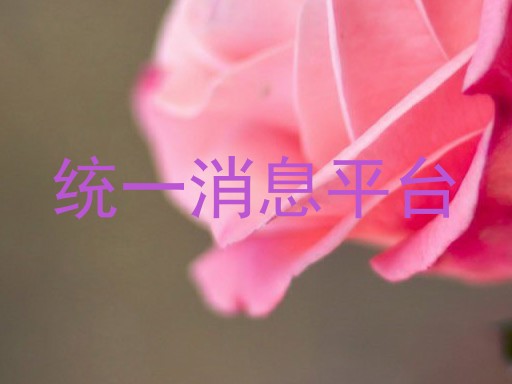 统一消息平台