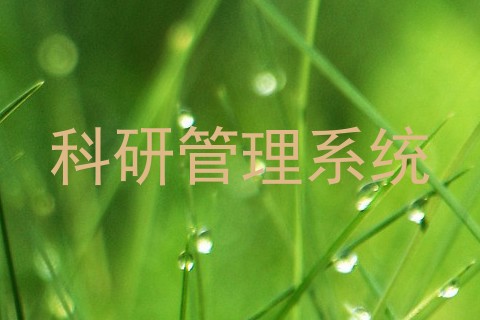 科研管理系统