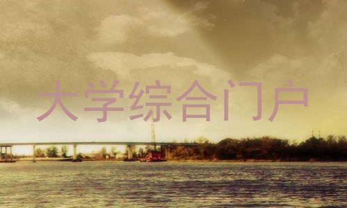 大学综合门户