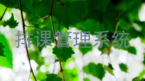 排课管理系统