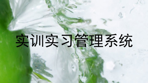 实训实习管理系统