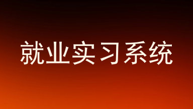 就业实习系统