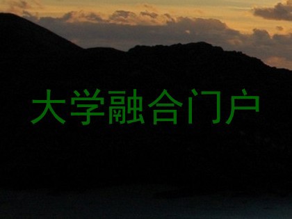 大学融合门户