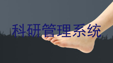 科研管理系统
