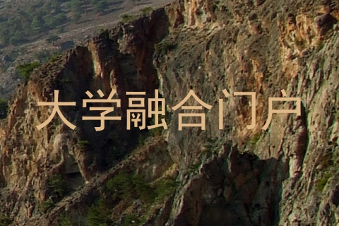 大学融合门户