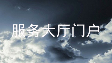 服务大厅门户
