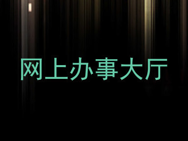网上办事大厅