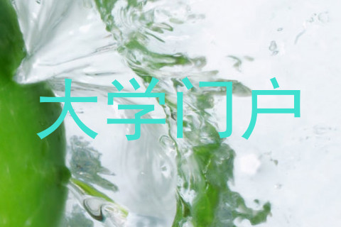 大学门户