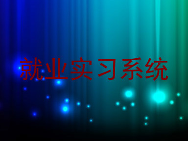 就业实习系统
