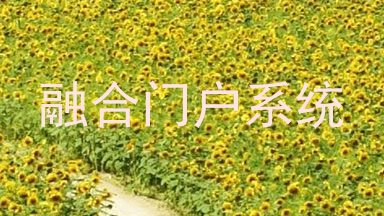 融合门户系统