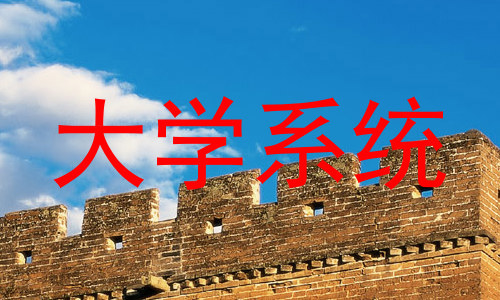 大学系统