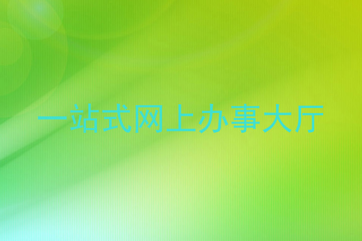 一站式网上办事大厅