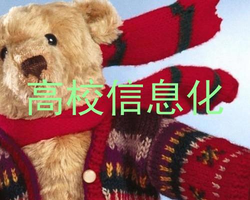 高校信息化
