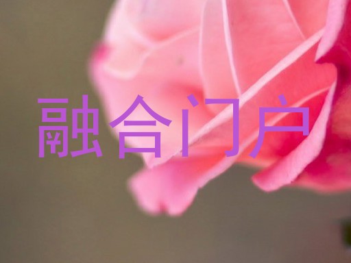 融合门户