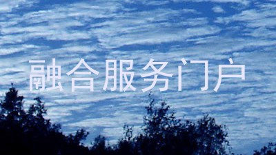 融合服务门户