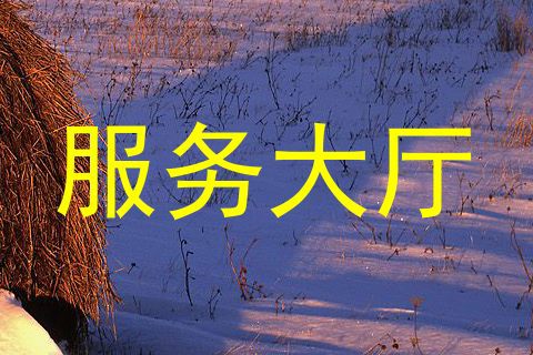 服务大厅