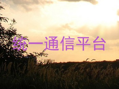统一通信平台