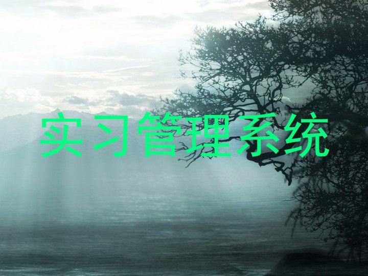 实习管理系统