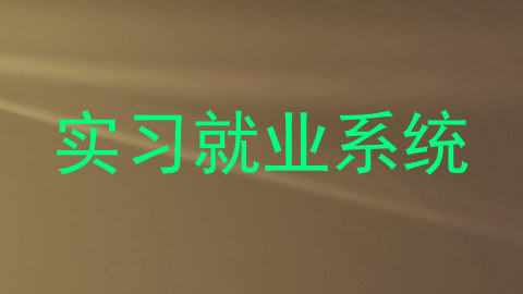 实习就业系统