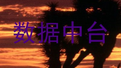 数据中台