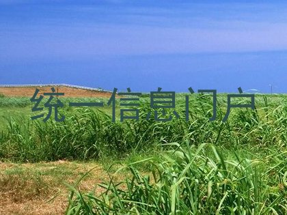 统一信息门户