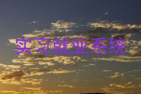 实习就业系统