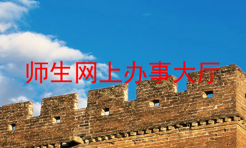 师生网上办事大厅