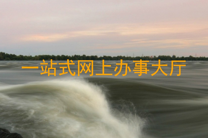 一站式网上办事大厅