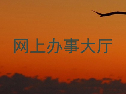 网上办事大厅