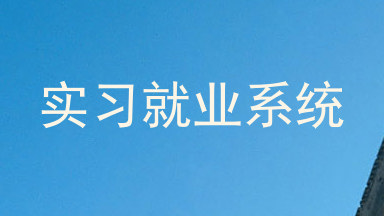 实习就业系统
