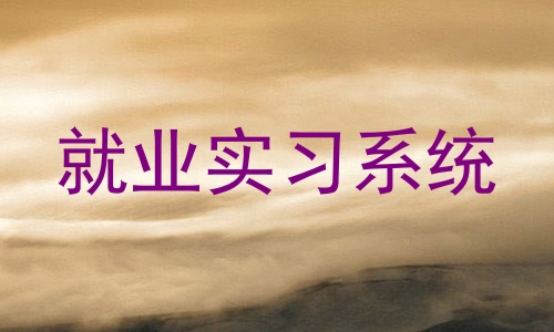 就业实习系统